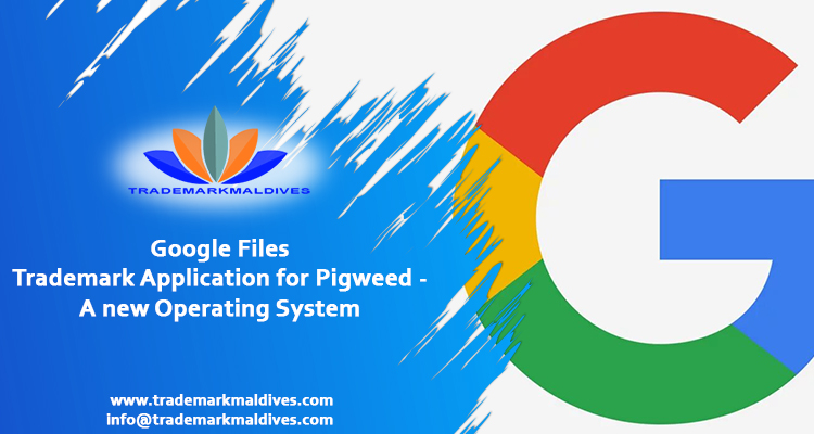 Google Files Trademark Application for Pigweed – A new Operating System